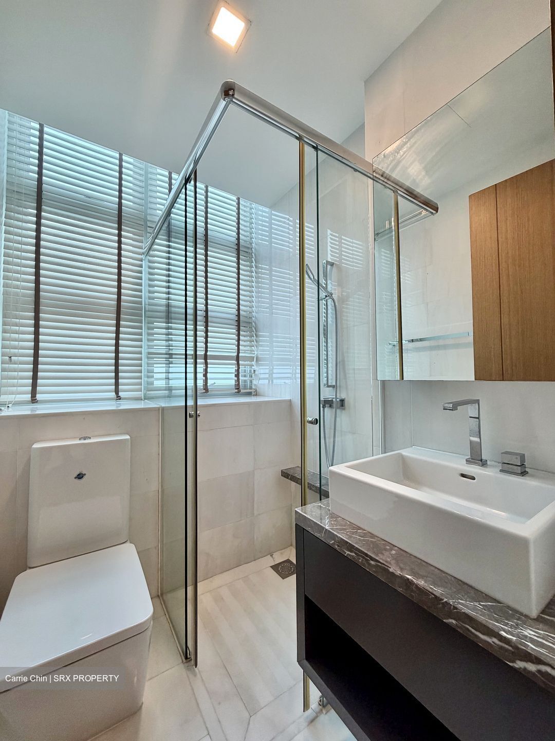 Emerald Hill Road (D9), Apartment #580314641
